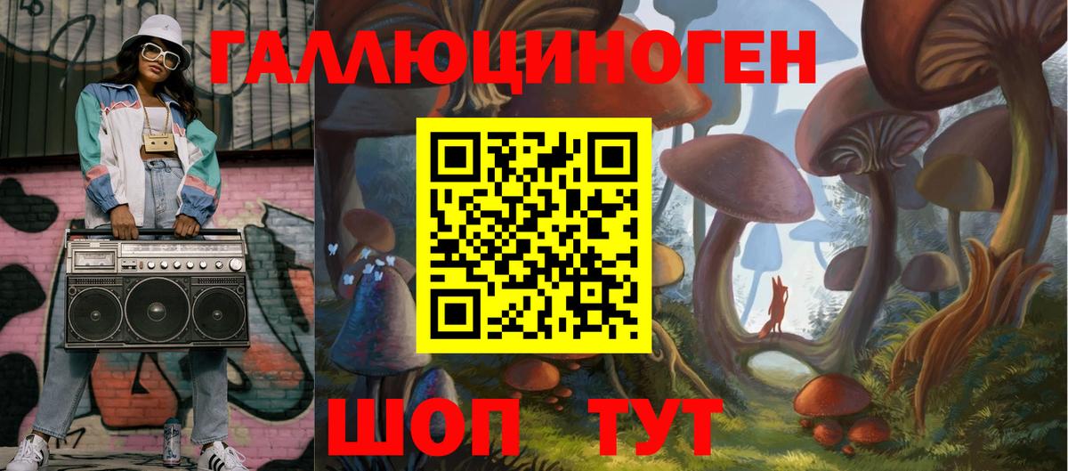где можно купить наркотик  Вход с VPN  Крымск  Псилоцибиновые грибы MAGIC MUSHROOMS  Галлюциногенные грибы MAGIC MUSHROOMS 