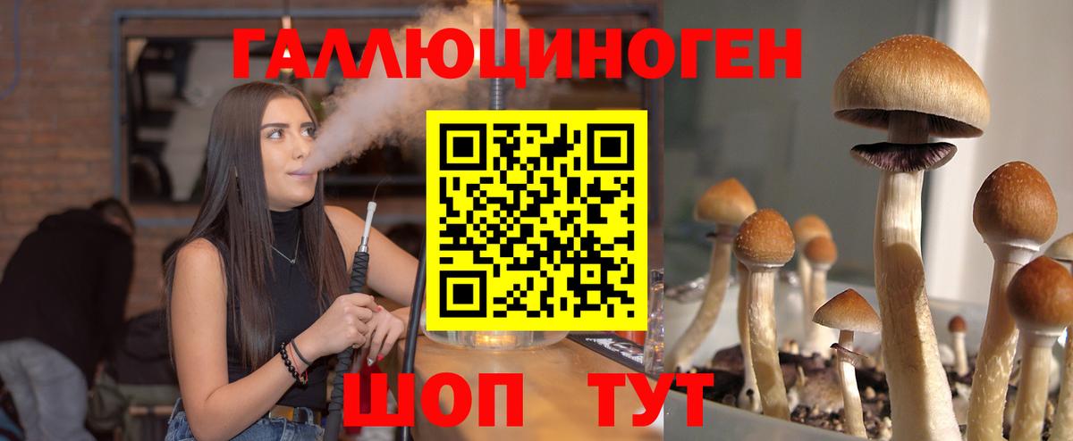 Галлюциногенные грибы мицелий Крымск